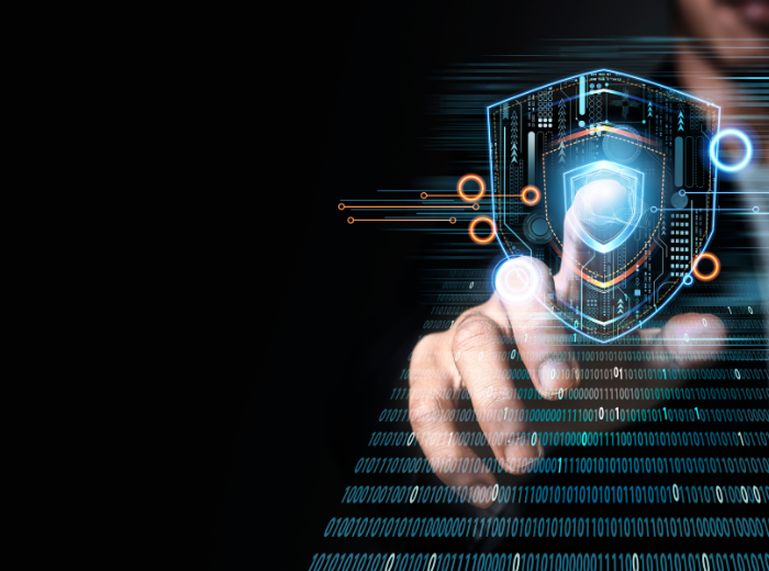 Cyber Security with Securitas